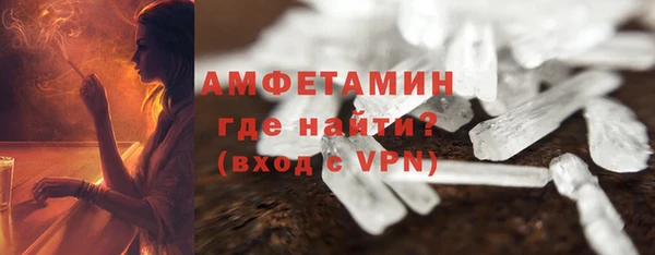 шишки Абаза