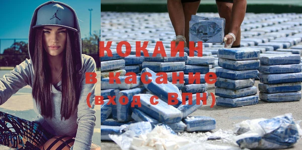 шишки Абаза