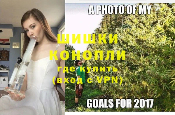 шишки Абаза