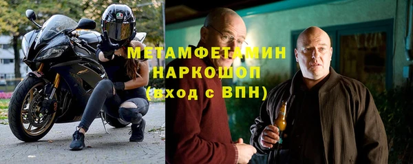 шишки Абаза