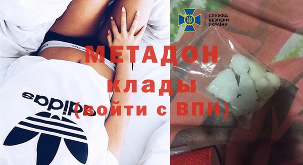 шишки Абаза