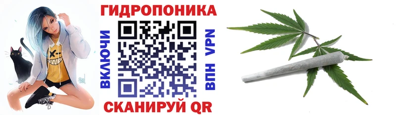 Конопля THC 21%  блэк спрут ССЫЛКА  Шенкурск  наркошоп 